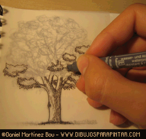 Entintado del árbol Cdd_dibujar_arboles10