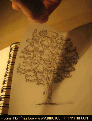 Entintado del árbol Cdd_dibujar_arboles12