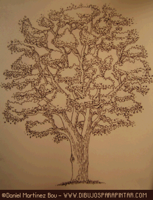 Entintado del árbol Cdd_dibujar_arboles13