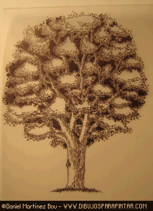 Entintado del árbol Cdd_dibujar_arboles15