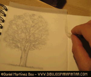 Entintado del árbol Cdd_dibujar_arboles9