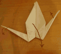 Origami - Grulla que empolla Man_papiroflexia_grulla13