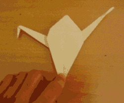 Origami - Grulla que empolla Man_papiroflexia_grulla14