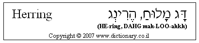 كلمات كلمات ... מילים  H0712010