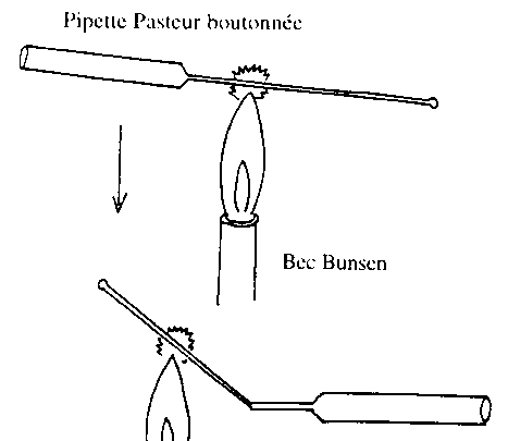 Les différents types de pipettes 5etal1