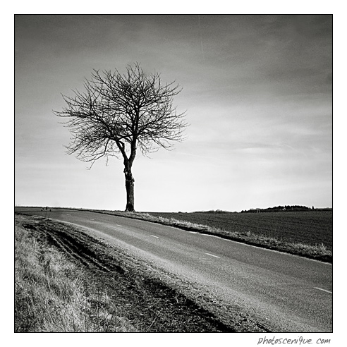 La route de l'arbre Blaisybas-4576