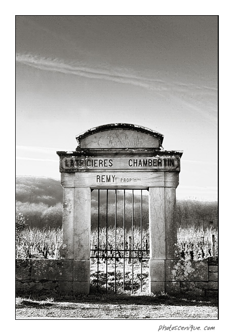 Latricires Chambertin Latricieres-chambertin-3834