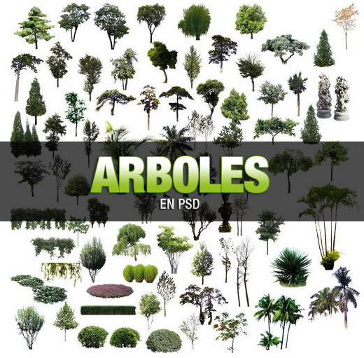 Gran variedad de árboles en PSD Arboles