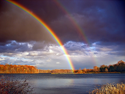 German president quits in scandal Photogrpah-a-rainbow