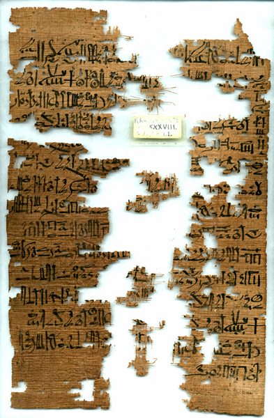 Papiros Uc32782-f