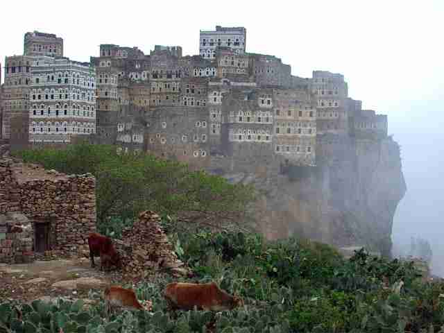 Σοκότρα: το πιο παράξενο νησί στον κόσμο Socotra-11