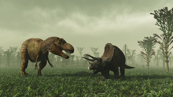 --> [SPAM GAME] -  Everyone vs Everyone <-- - Page 7 T-Rex-vs-Triceratops-who-would-win