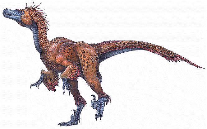 Deinoychus, la garra terrible [CP] Deinonychus_antirrhopus