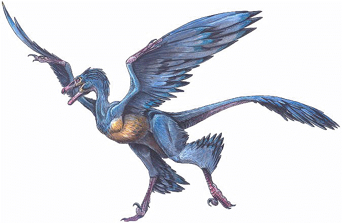 El origen asiático de los dinosaurios voladores Microraptor_gui