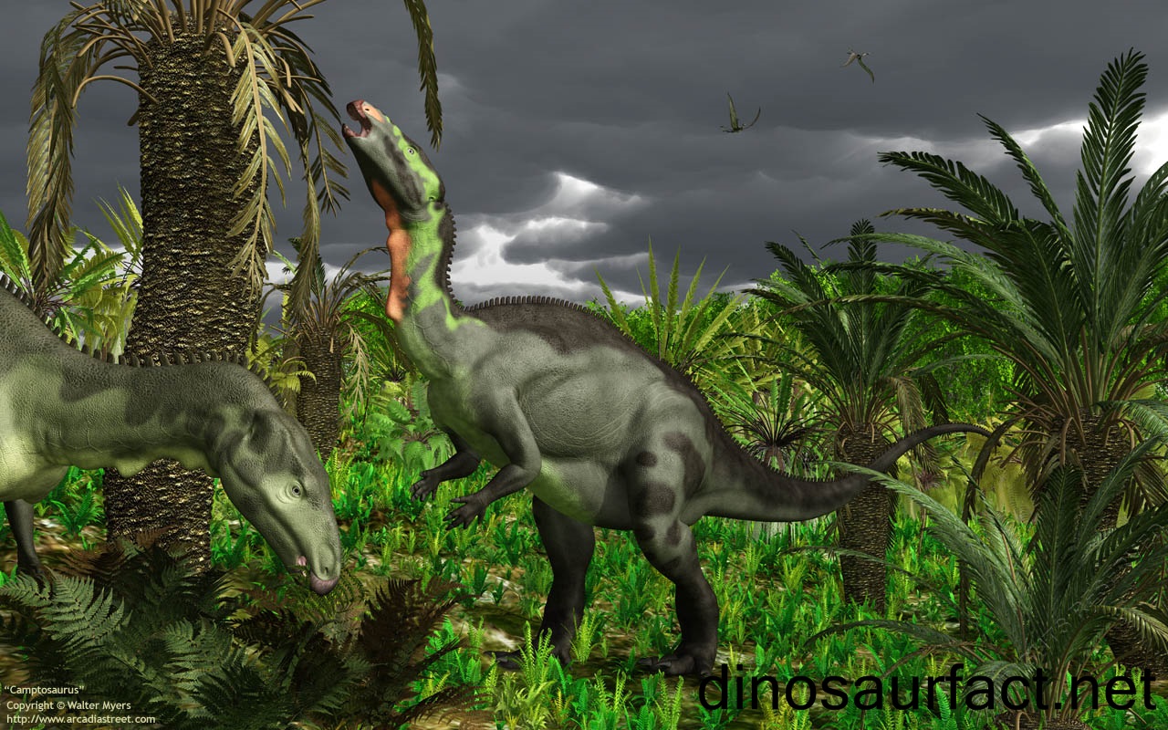 کامپتوسور Camptosaurus