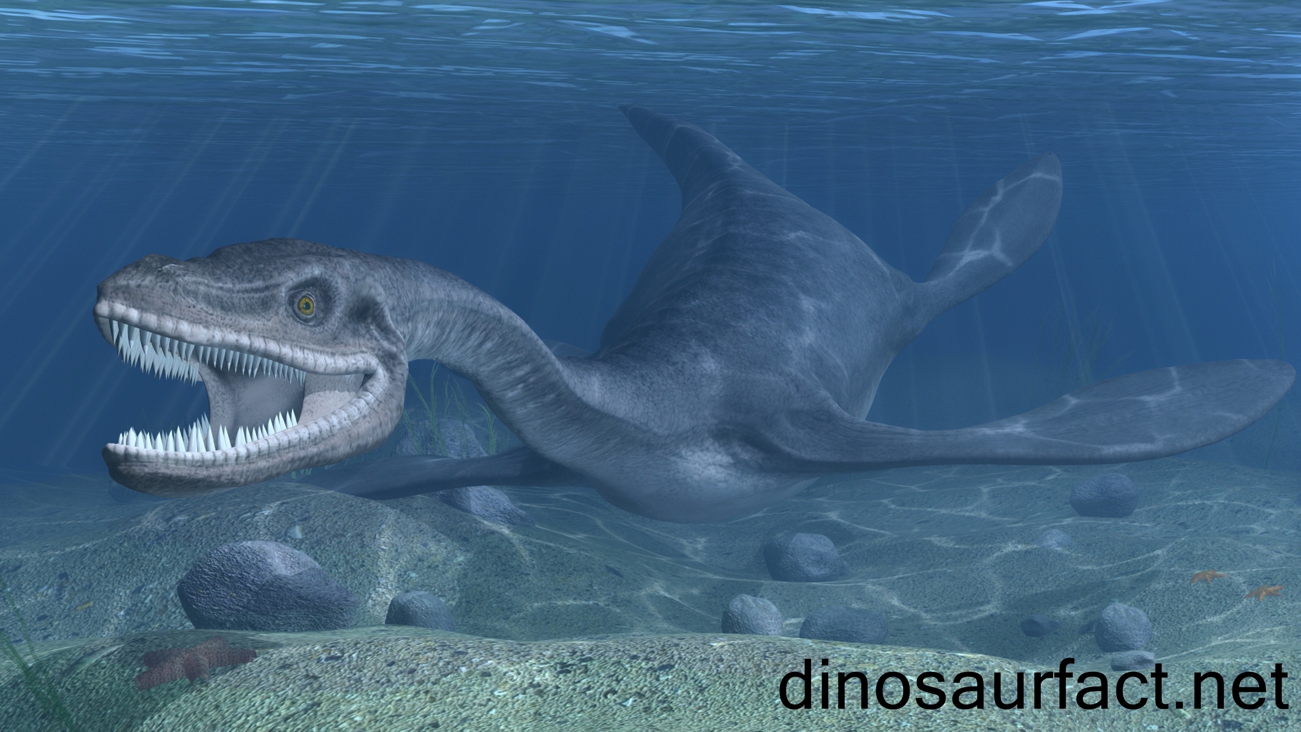 Nessie từng bị T-rex săn đuổi ??? Plesiosaurus