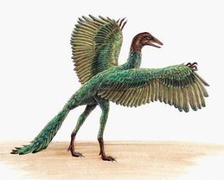 Oferta Canal+ para madridistas Dinosaurio-archaeopteryx-2