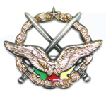 Forces Armées Camerounaises Insigne_armee_de_l_air