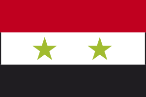 العلم السوري Flag_019