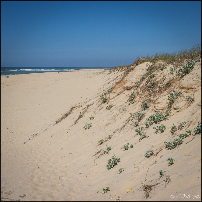 Plage de rentrée... 20130916020424-2bb9a22e