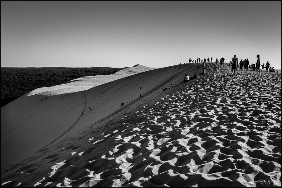 Le désert... ne l'est plus tant que ça ! 20131101134104-eb30cc30