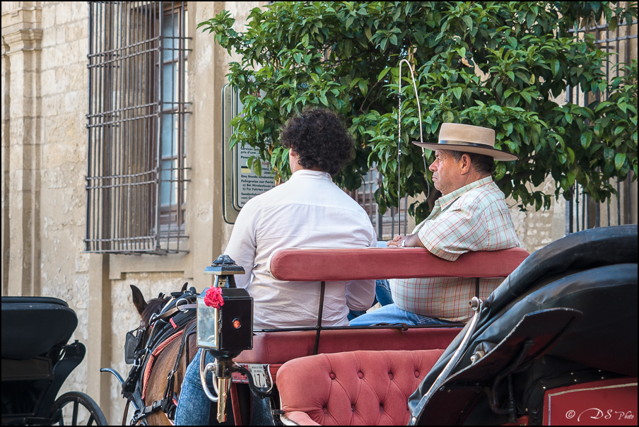 [Le Don Andalou] Road-Trip Etape 2: Cordoue (Part 3) 20180621170154-5273952e