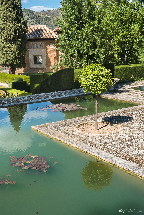 [Le Don Andalou] Road-Trip Etape 3 : Grenade (Part 3)  20180625163843-e7d734cc