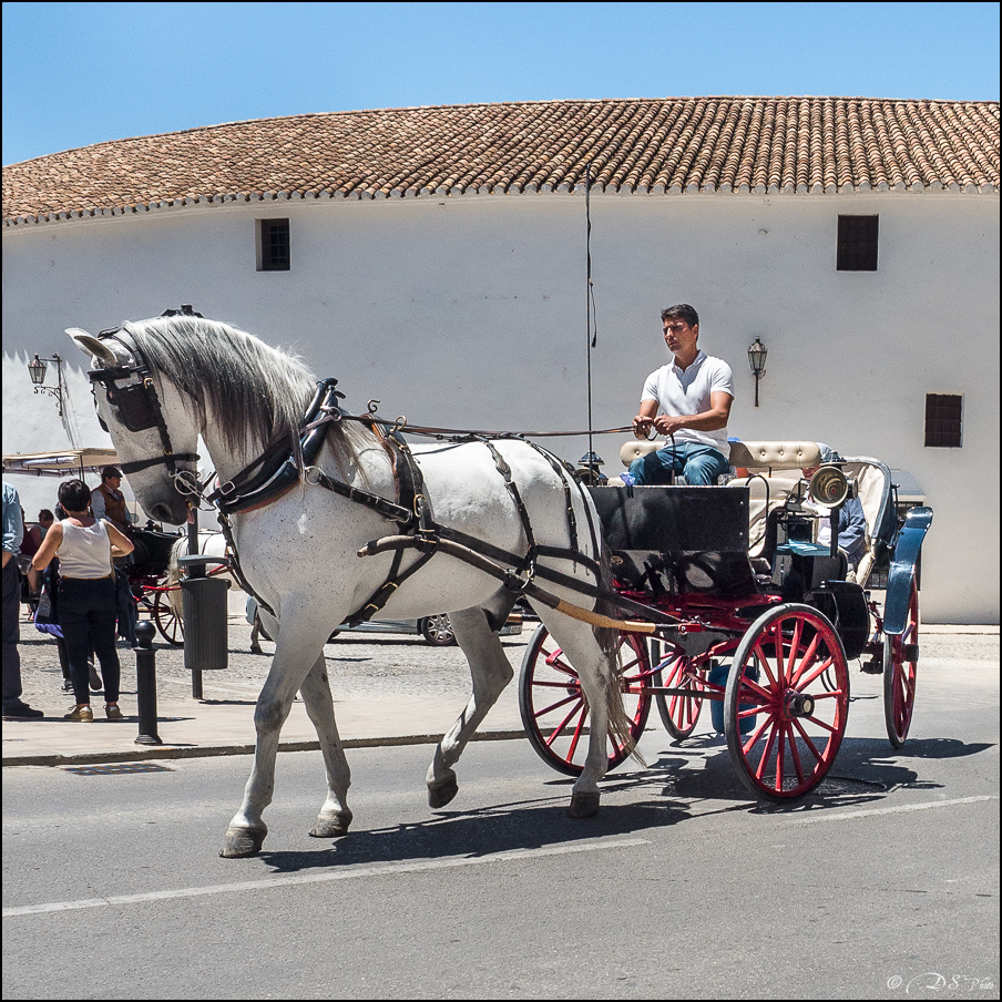 [Le Don Andalou] Road-Trip Etape 4.3 : Ronda 20180706114144-4408a144