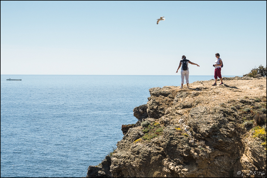 Porquerolles : comme une idée du paradis [+ Ajouts] 20190610135008-1277db8b