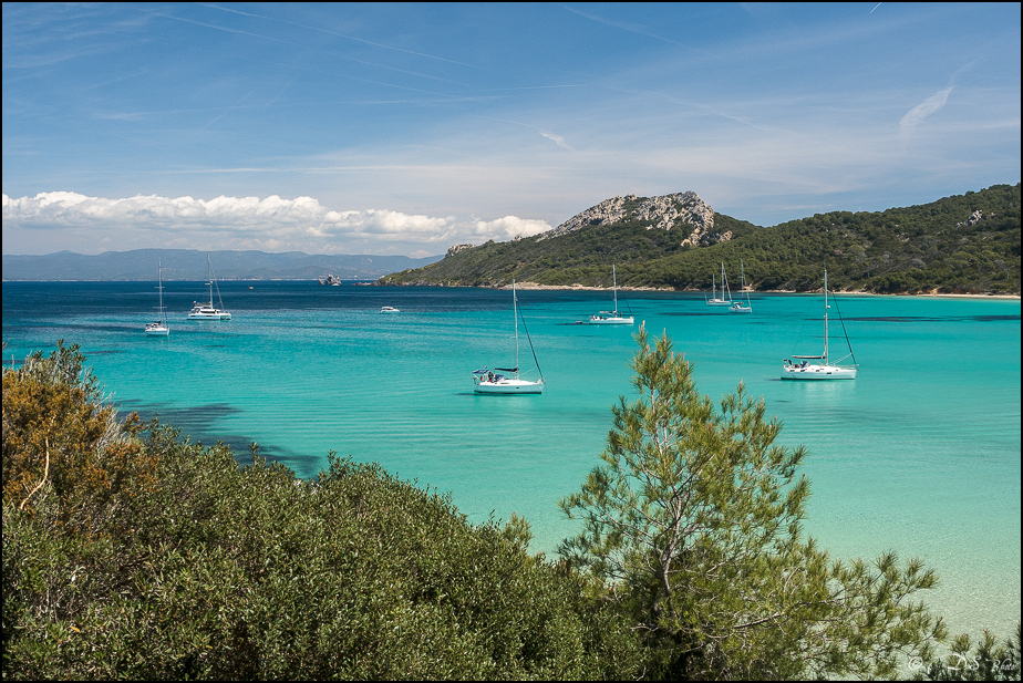 Porquerolles : comme une idée du paradis [+ Ajouts] 20190610135109-2ec282ab