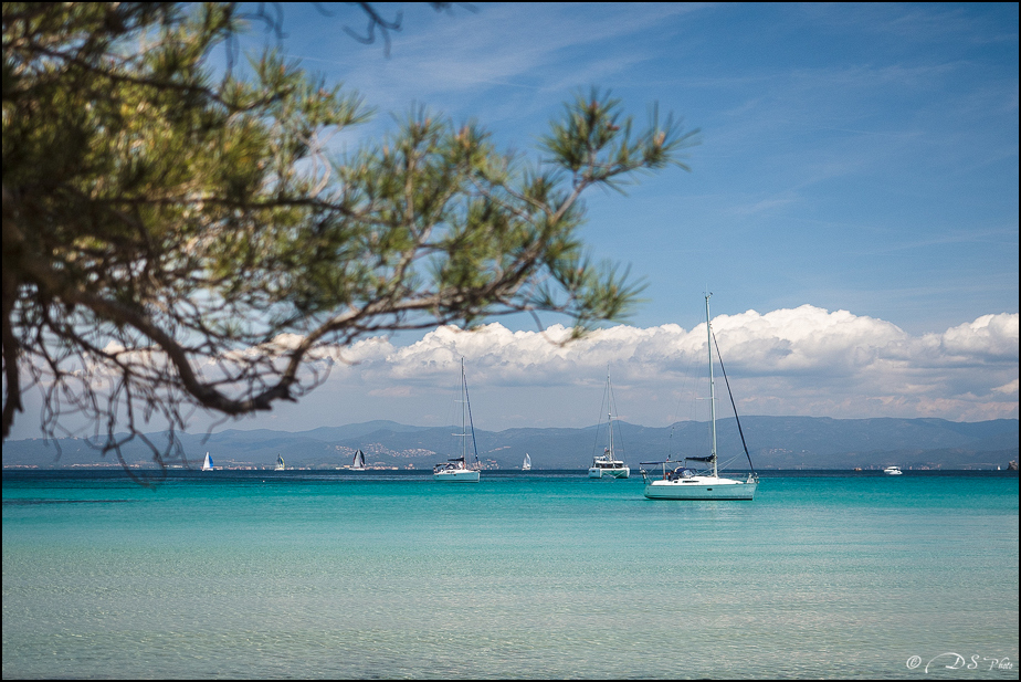 Porquerolles : comme une idée du paradis [+ Ajouts] 20190610135131-c57182e7