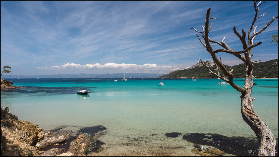 Porquerolles : comme une idée du paradis [+ Ajouts] 20190610135154-0d8e7f6d