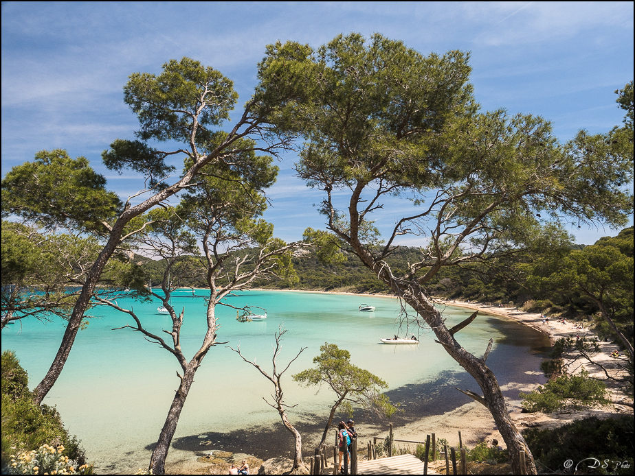 Porquerolles : comme une idée du paradis [+ Ajouts] 20190610135203-42d83161