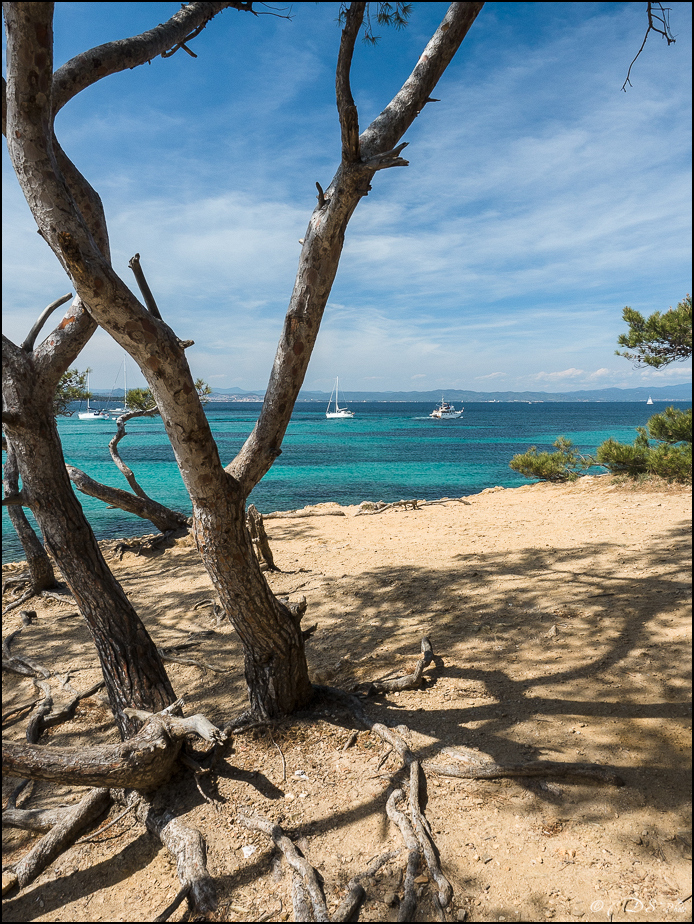 Porquerolles : comme une idée du paradis [+ Ajouts] 20190610135306-d1aa6438