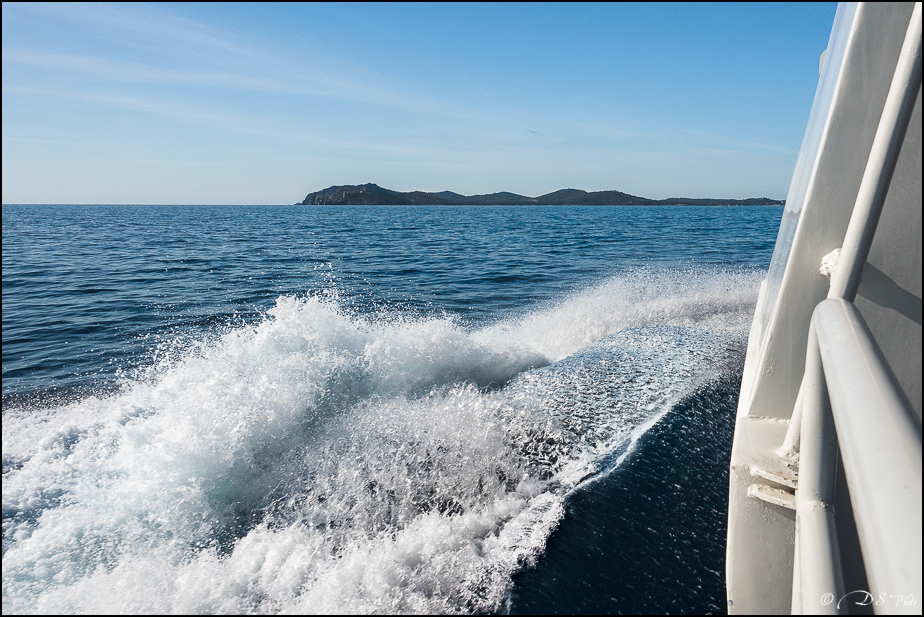 Porquerolles : comme une idée du paradis [+ Ajouts] 20190610200903-3d8022ac