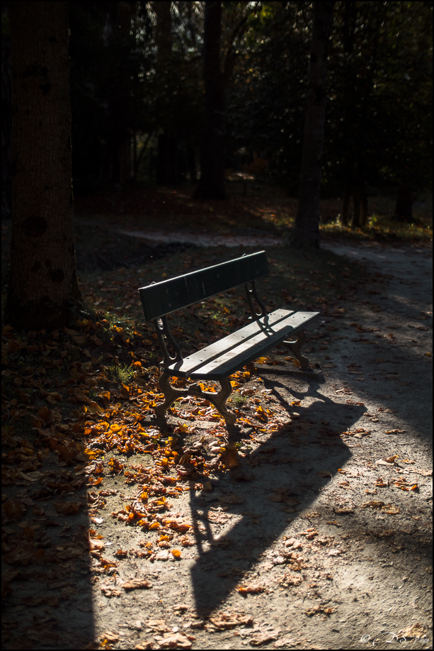 [Série] - "Premières lumières d'Automne" 20221022235530-eccebb72