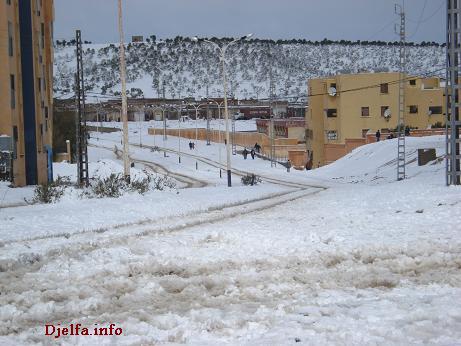 صور عاصمة أولاد نايل "الجلفة" تحت الثلوج Neige8_djelfa