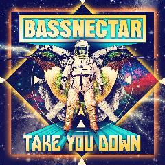 Bassnectar - Take You Down (2013) 06JRx