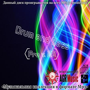 VA Drum and Bass Pro 22 (2013) V3T6