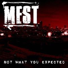 Mest - Not What You Expected (2013) W3dOn