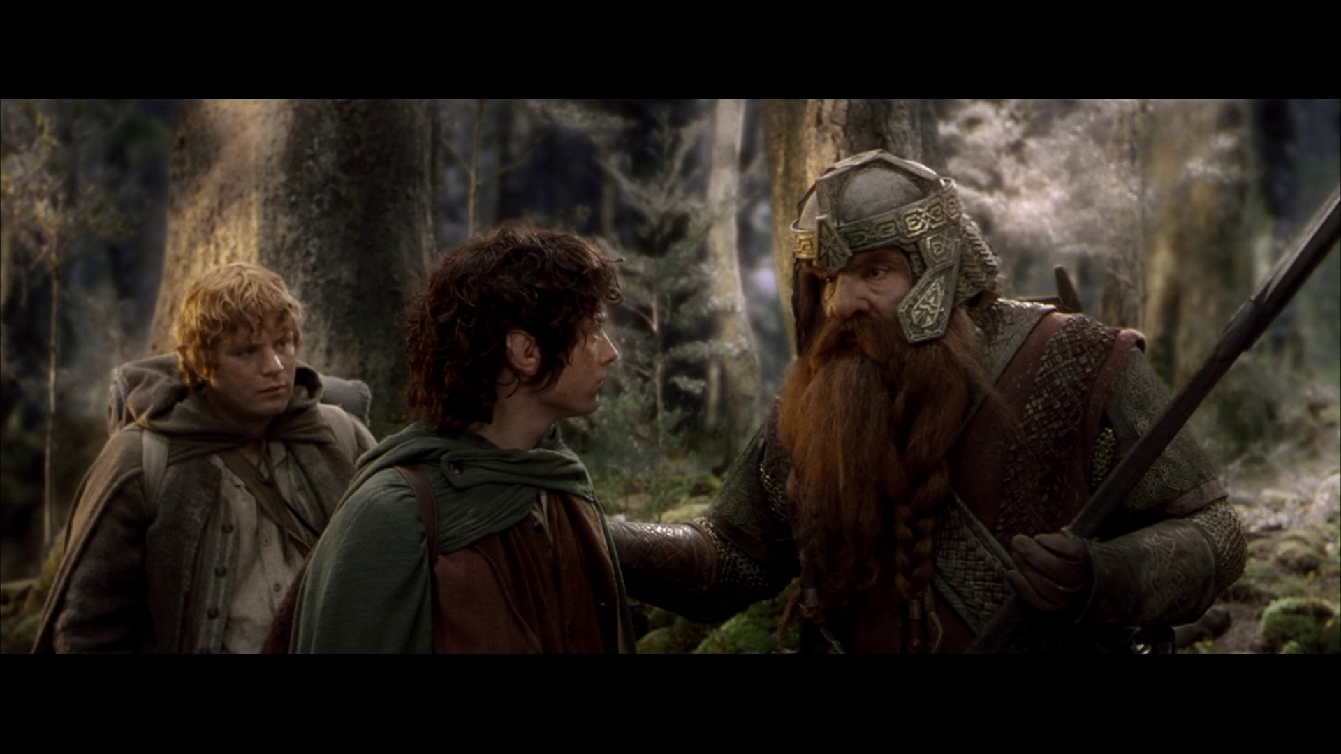 The Lord of the Rings The Fellowship of the Ring (2001)(FullHD 1080) QhR5