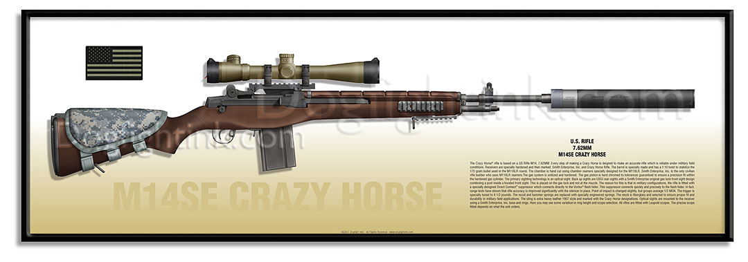 Armas U.S. Special Operations M14SE