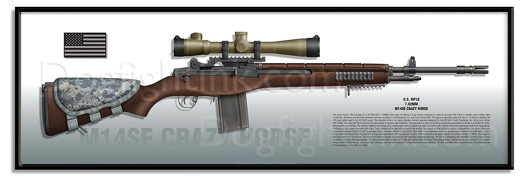 Armas U.S. Special Operations M14SEa