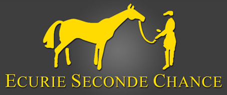 Ecurie Seconde Chance Logo_esc