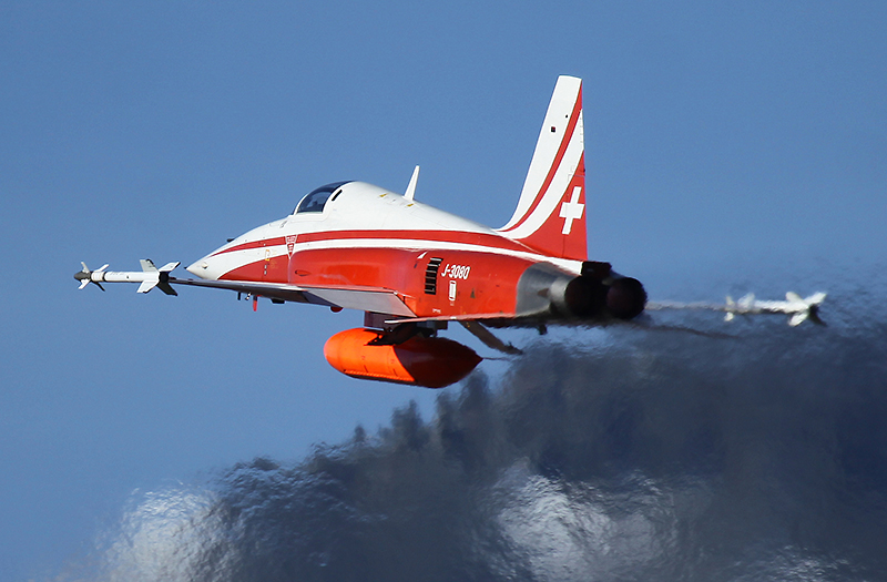 Armée Suisse WEF2014SION-2