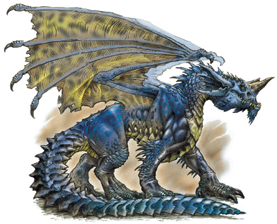 Bạn đã từng nghe về loài rồng ? Blue-dragon