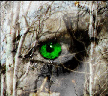 Pusti neka oči govore Green_eyes