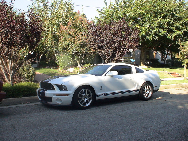 Fardando... ¿que coche te comprarias? 10177-2007-Ford-Mustang%20Shelby-GT500