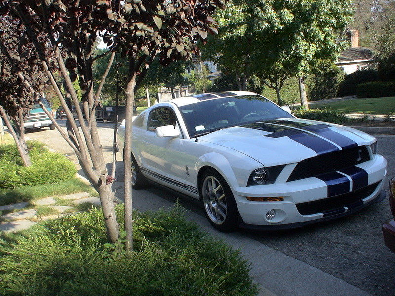 Otomobil genel 10234-2007-Ford-Mustang-Shelby-GT500