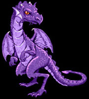 ryuzaki, Jeune Dragon 1_violet